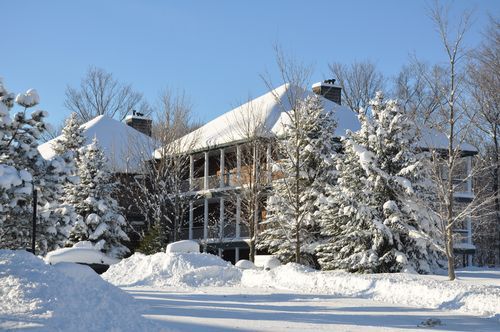 4 Season Fun At Legend Cottage Inn Bellaire Esterno foto